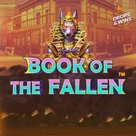 Book of the Fallen game icon